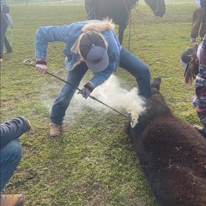 Meet your Posher, Lauryn